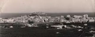 El paisaje destruido de la naranja en Dénia