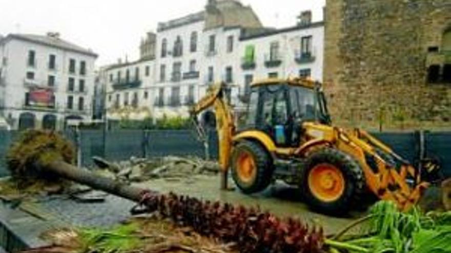 Pavón se plantea pedir al juez que paralice la obra de la plaza Mayor