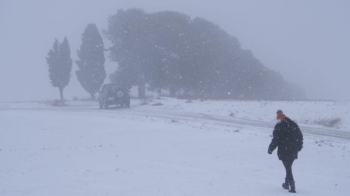 Nieve en La Encina.