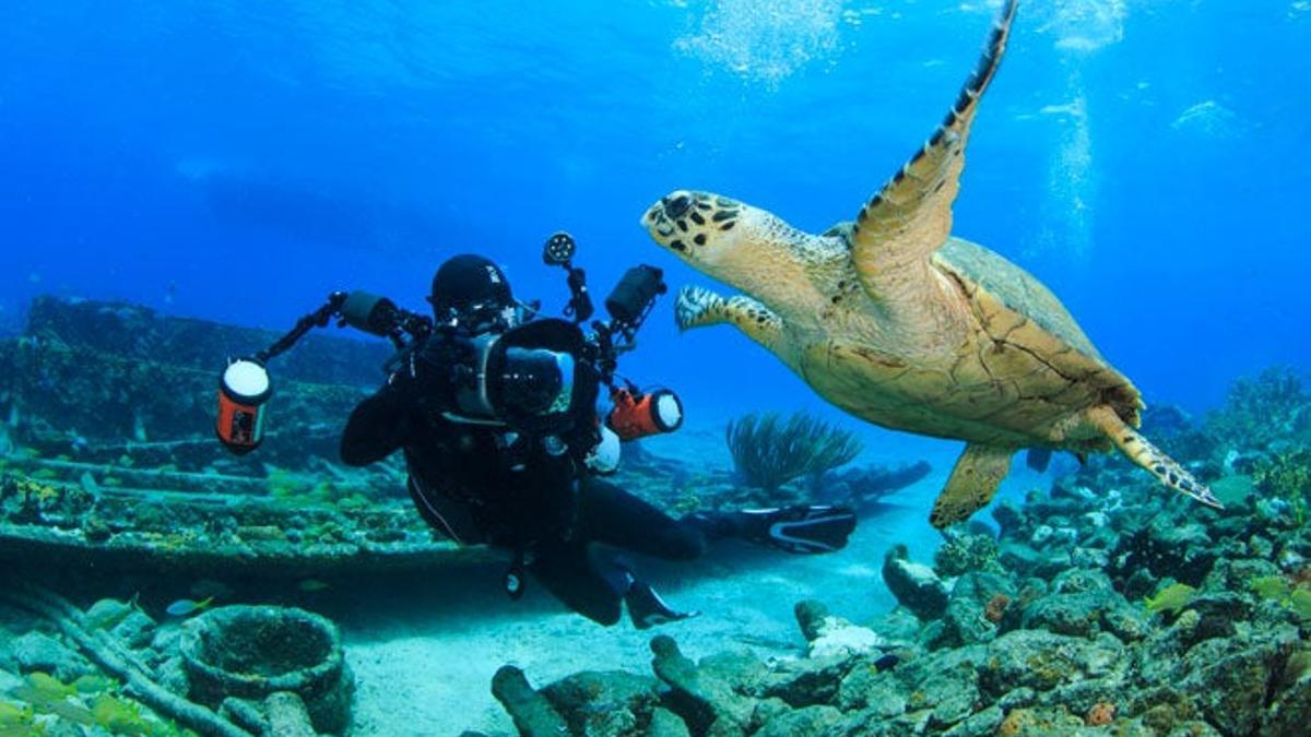 El Caribe desde la profundidad de sus aguas