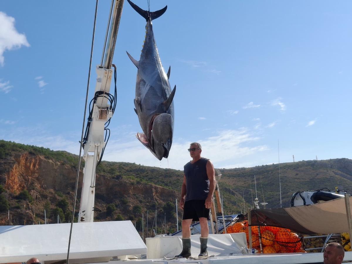 Actividad frenética en el puerto de Xàbia: las imágenes de la descarga de los atunes