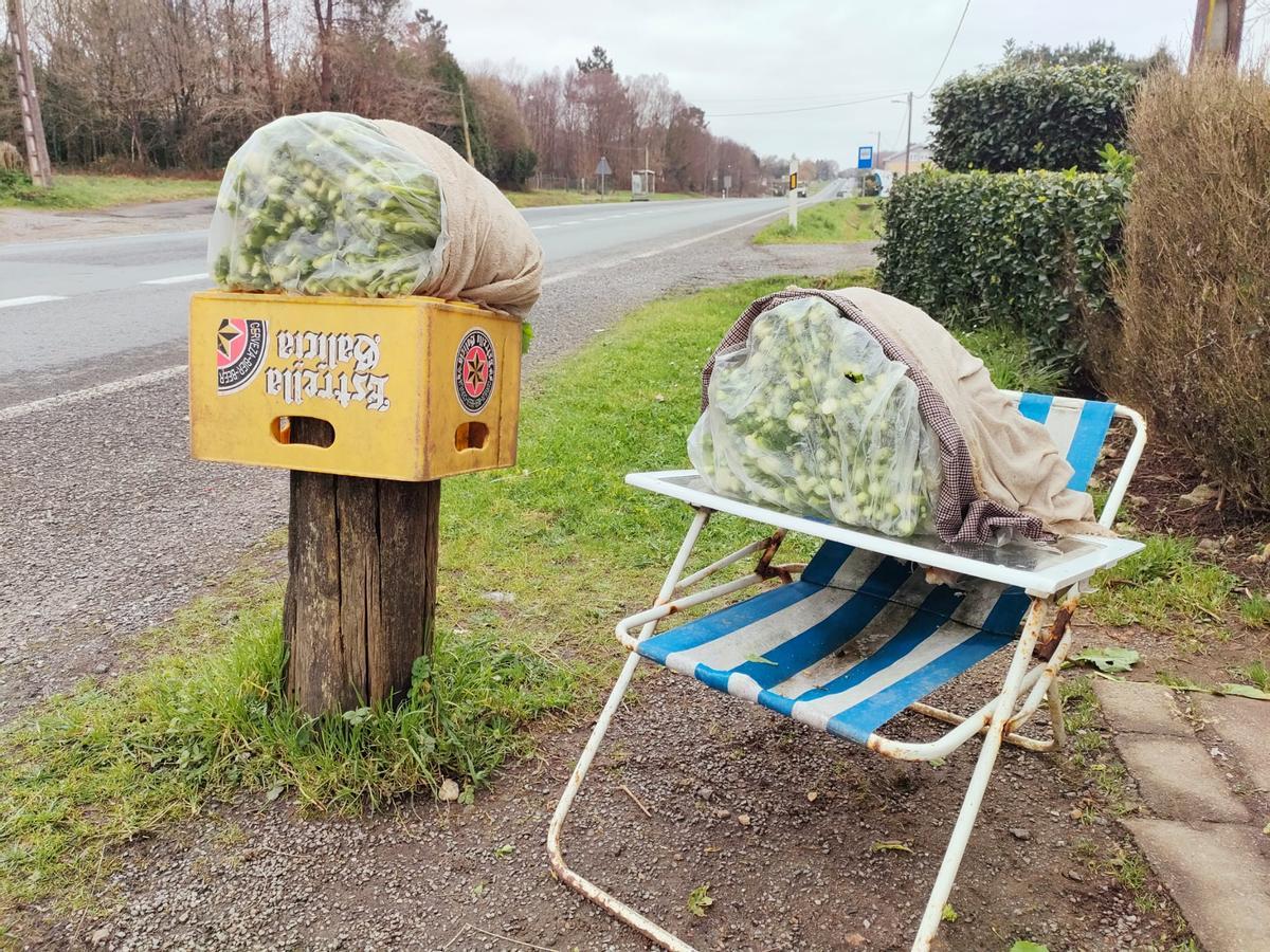 Elvira, vendedora de grelos en la N-550 a sus 86 años: "Son los mejores del mundo"