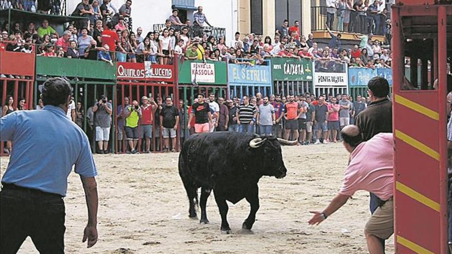 ‘Cocs’ y toros para el día grande de los festejos de la Asunción