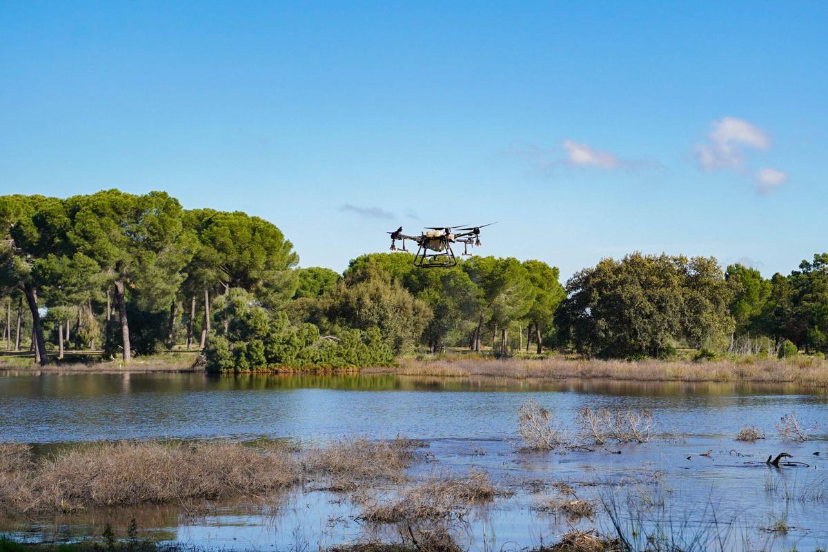 Dron. Campaña contra los mosquitos transmisores del virus del Nilo - Villamanrique de la Condesa