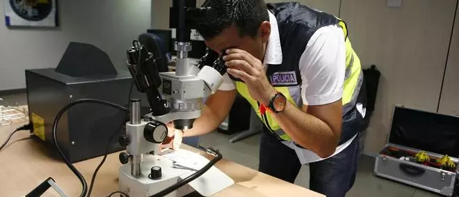 Desamor y las setas alucinógenas están detrás del suicidio de un joven en Castellón