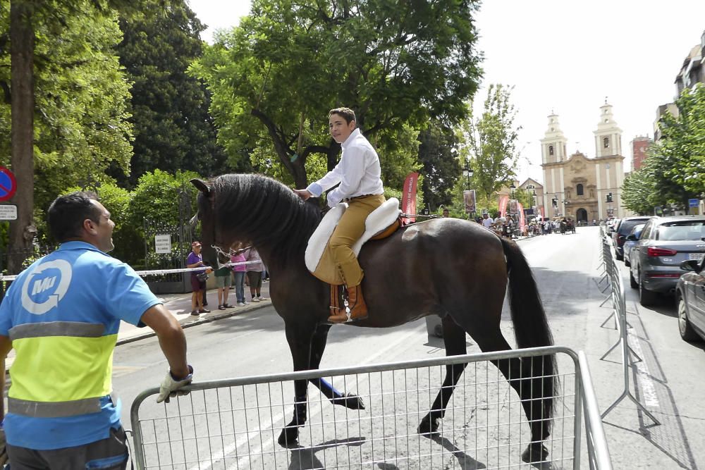 Desfile del Día del Caballo en Murcia