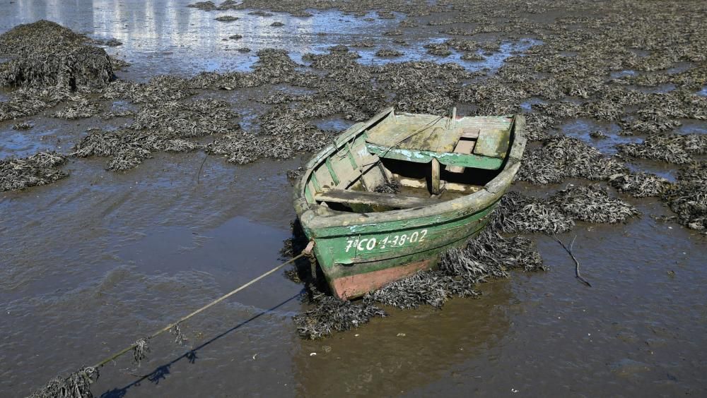 Visita europea a la Ría de O Burgo