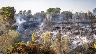 El incendio de Tarragona ya tiene estabilizado el 90% de su perímetro