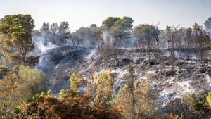 El incendio del Baix Ebre, en vías de ser estabilizado, en una imagen de este martes por la tarde.