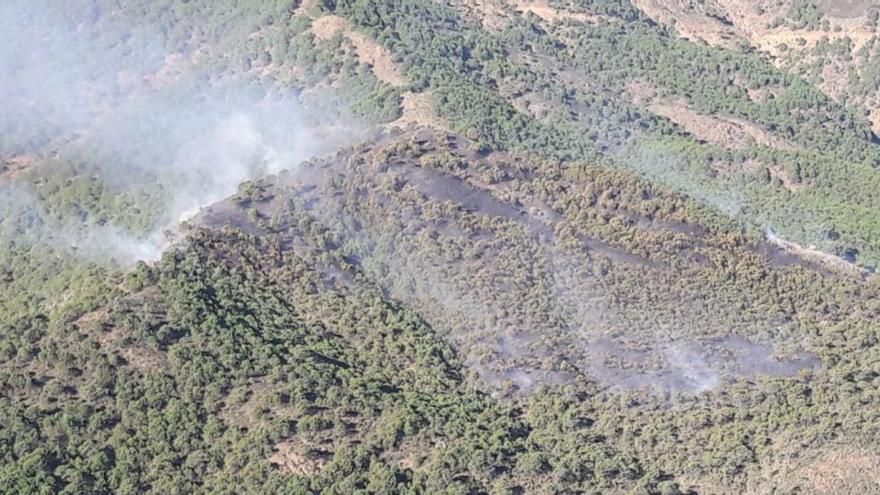 Vista aérea de la superficie afectada por el fuego.