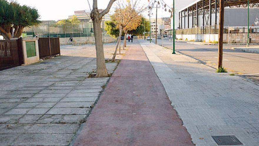 La senda ciclista está sucia y tiene baches.