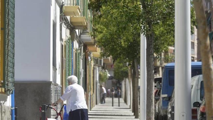 Vista de la calle Antonio Brotons Pastor, con las ramas de los árboles adentrándose en los balcones de las viviendas.