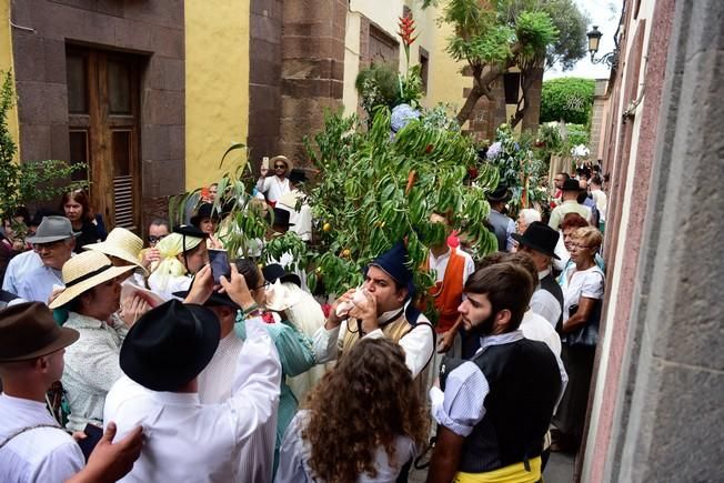 Procesion y Romeria por las Fiestas de las ...