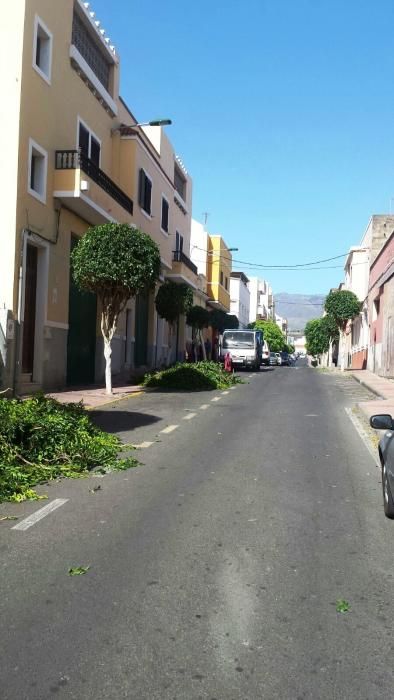 Limpieza de las zonas públicas en Telde