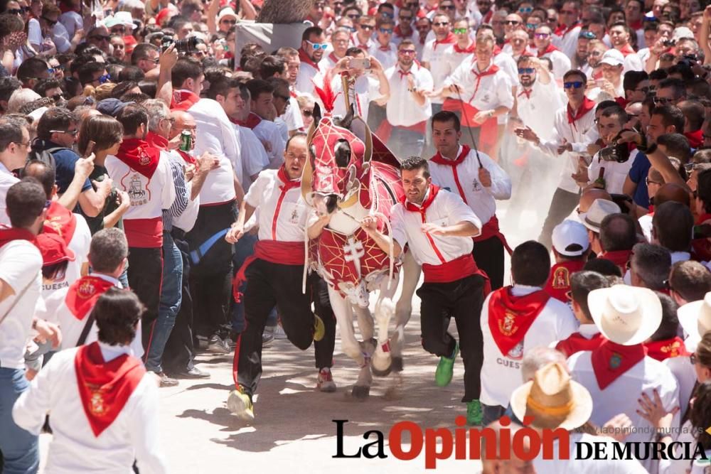 Carrera de los Caballos del Vino