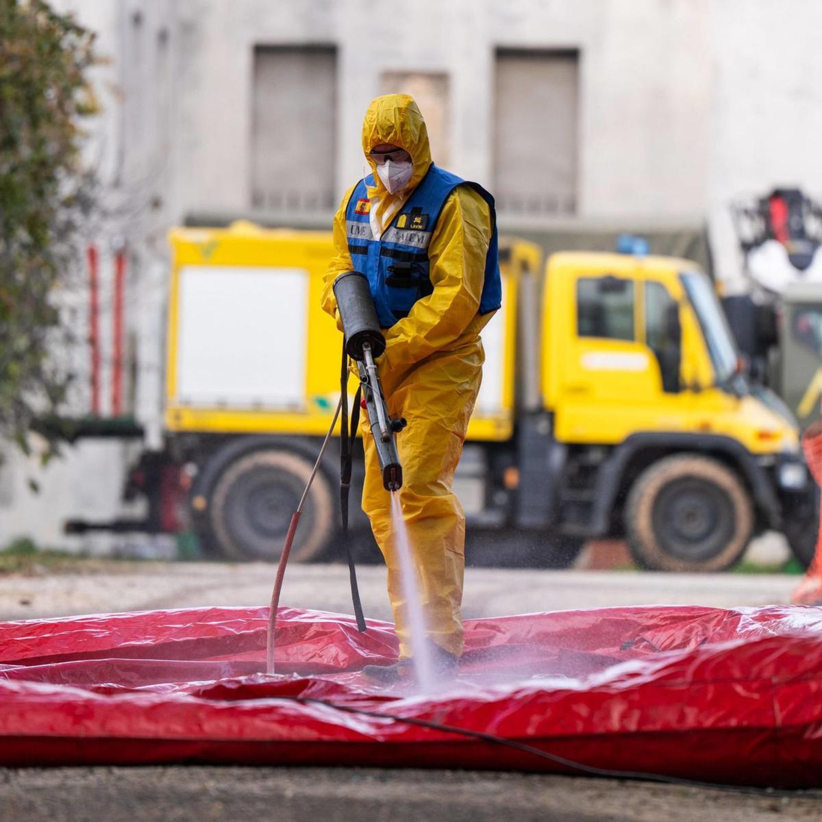 Els senglars morts per la pesta porcina ja són nou a la zona zero