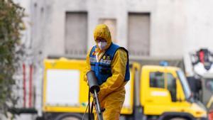 Els senglars morts per la pesta porcina ja són nou a la zona zero