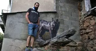 Un lobo “empadronado” en Terroso de Sanabria