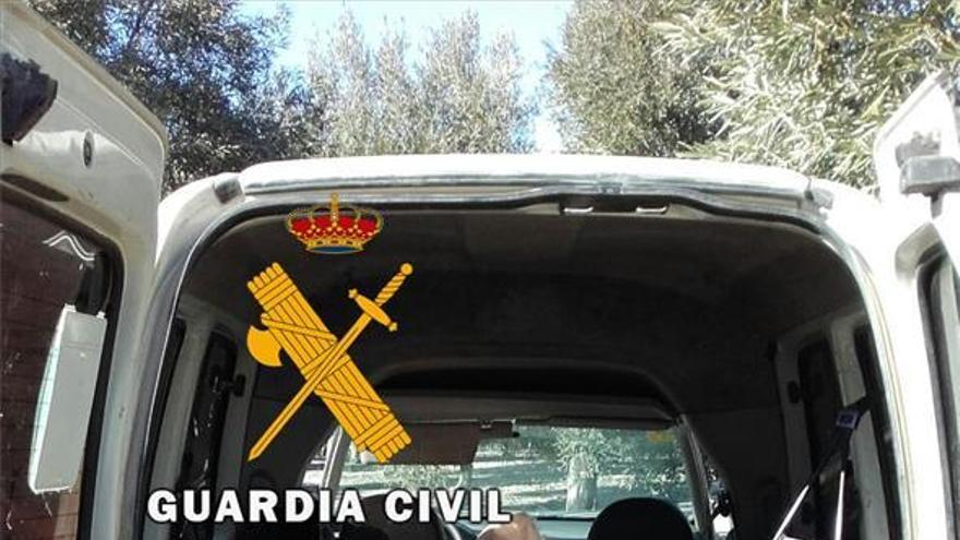 La Guardia Civil recupera más de 1.800 kilos de aceituna sustraída