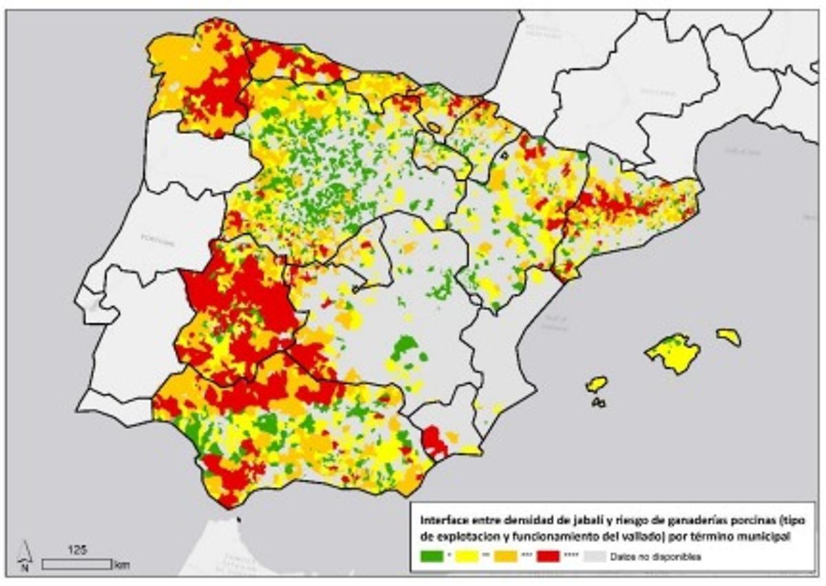 Zonas de España con mayor presencia de jabalíes respecto a granjas de cerdo en esa zona. En rojo, mayor cantidad de ambas.