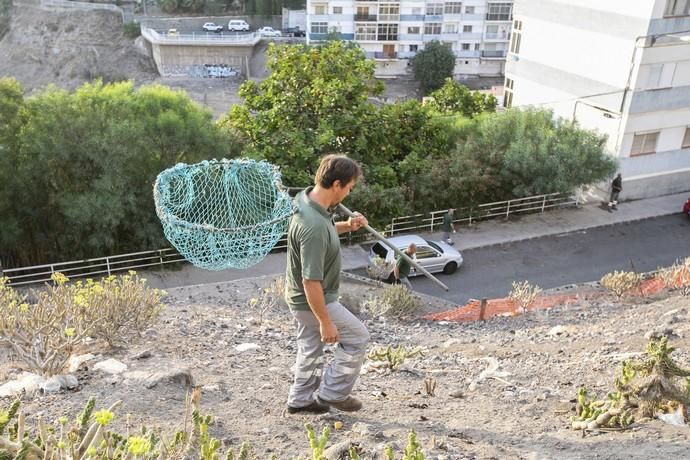 19.09.18. Las Palmas de Gran Canaria. Operarios ...