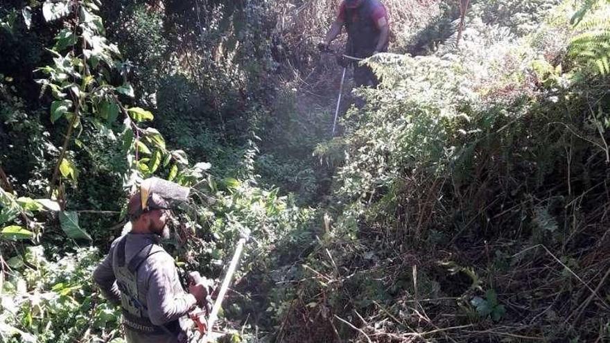 Trabajos de desbroce en los márgenes del río. // S.A.