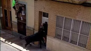Herido un hombre por una cornada en los bous al carrer de Silla