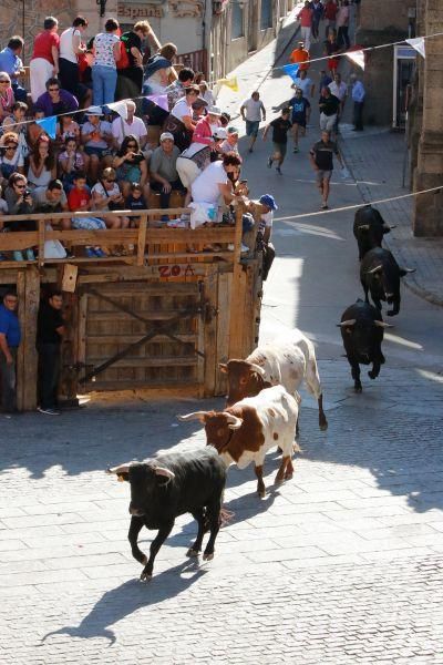 Fiestas en Zamora: Último encierro en Fermoselle