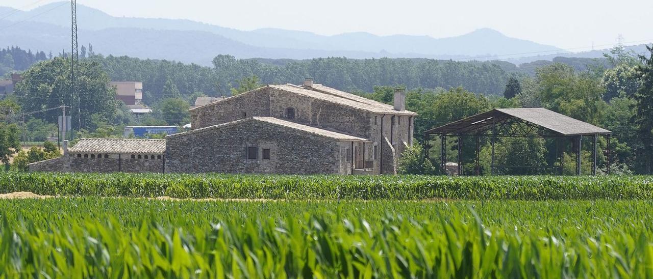 Camps sembrats a la zona de La Massana. | MARC MARTÍ