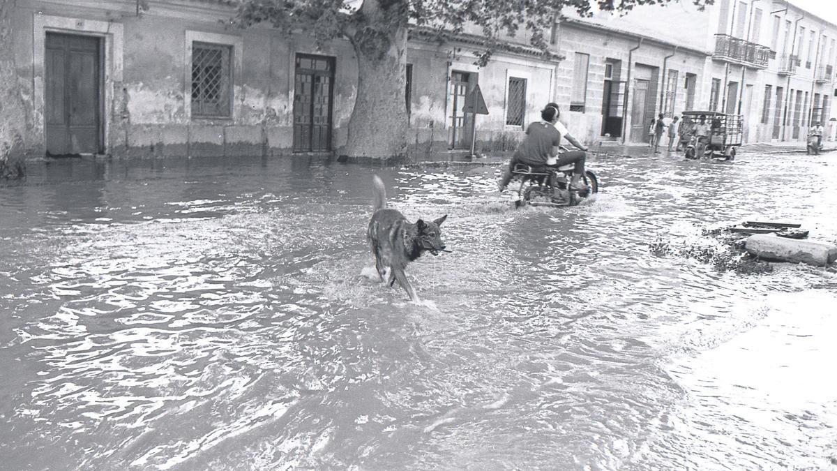 La carretera de El Palmar inundada, 1964.