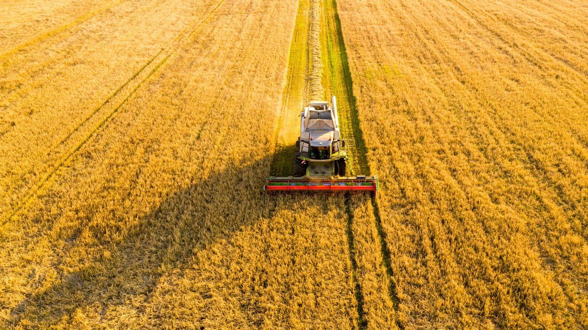 Los restos de la cosecha se utilizan para producir biometano.