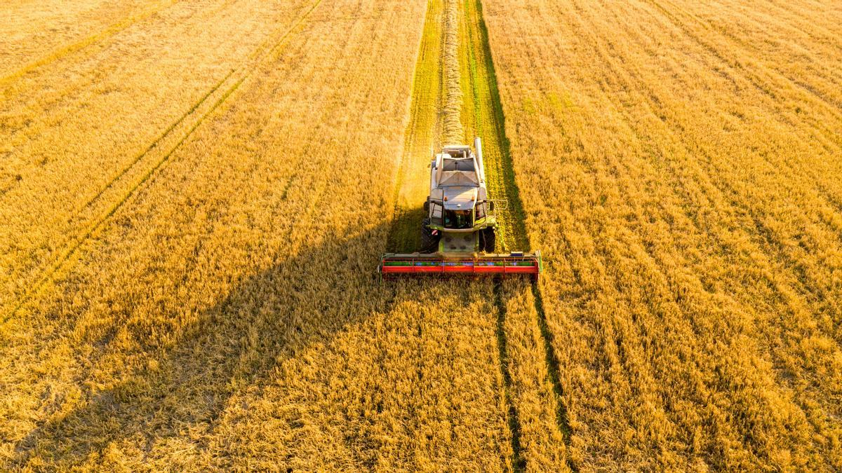 Los restos de la cosecha se utilizan para producir biometano.
