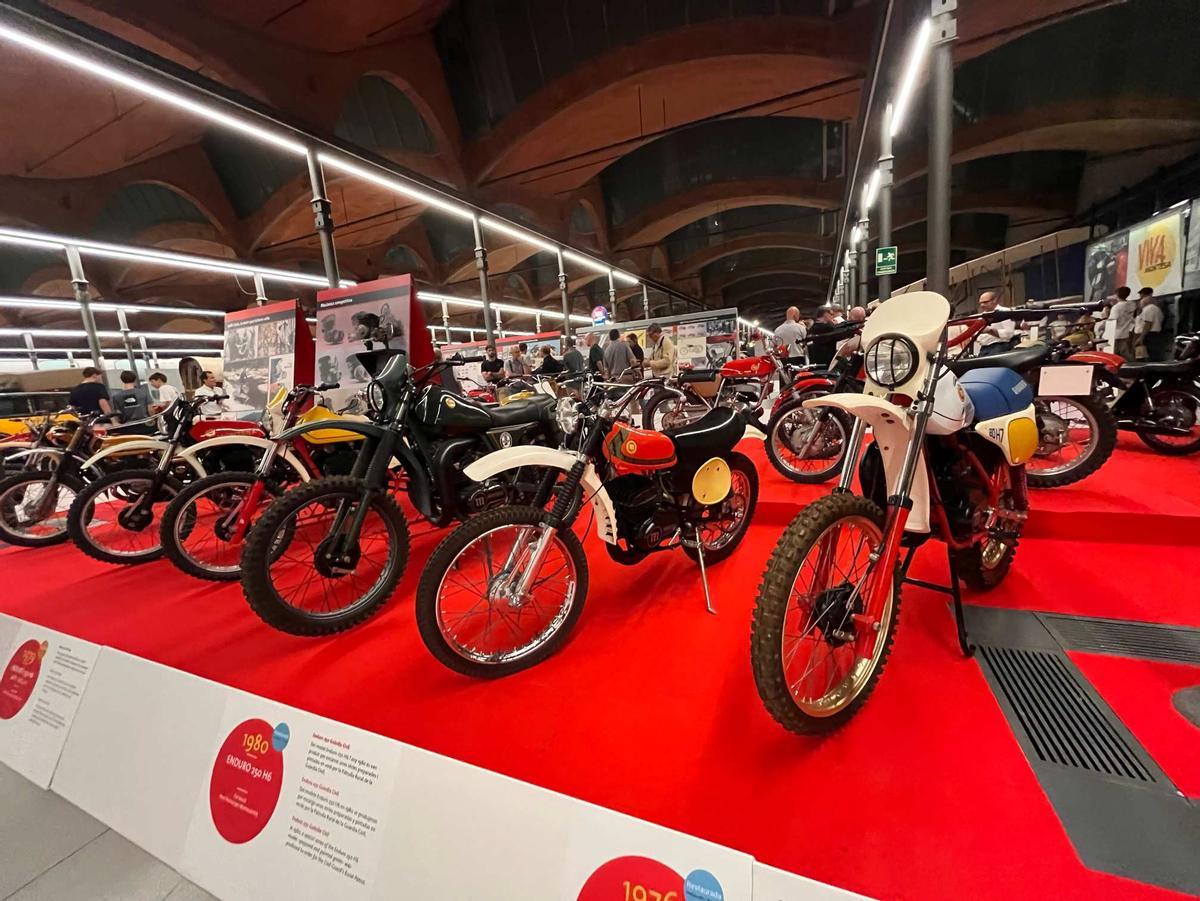“VIVA Montesa”