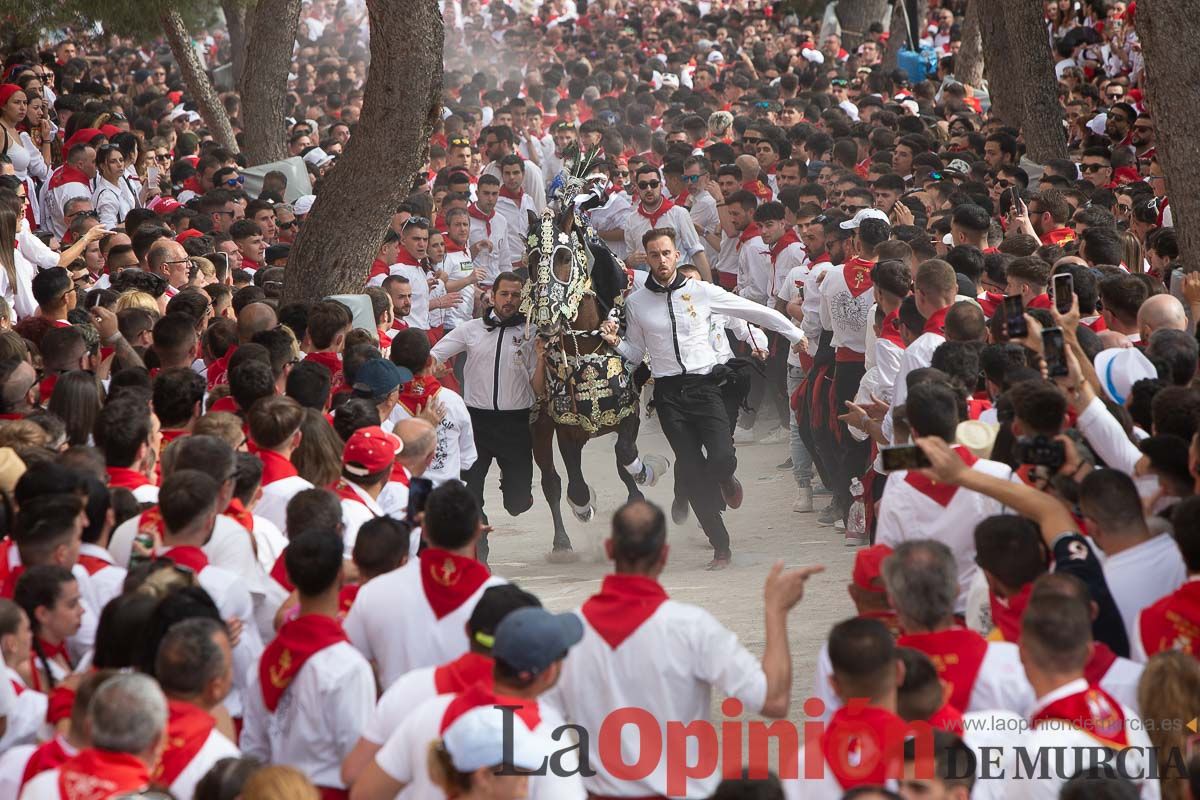 Así ha sido la carrera de los Caballos del Vino en Caravaca