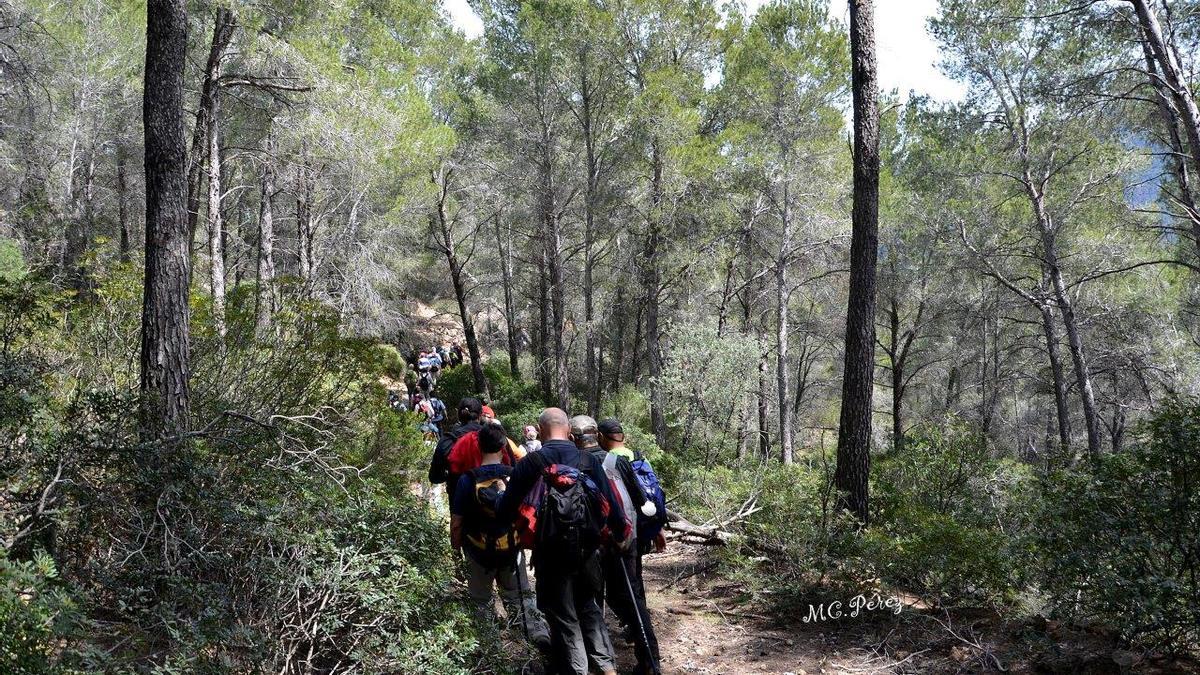 Excursión por Banyalbufar.