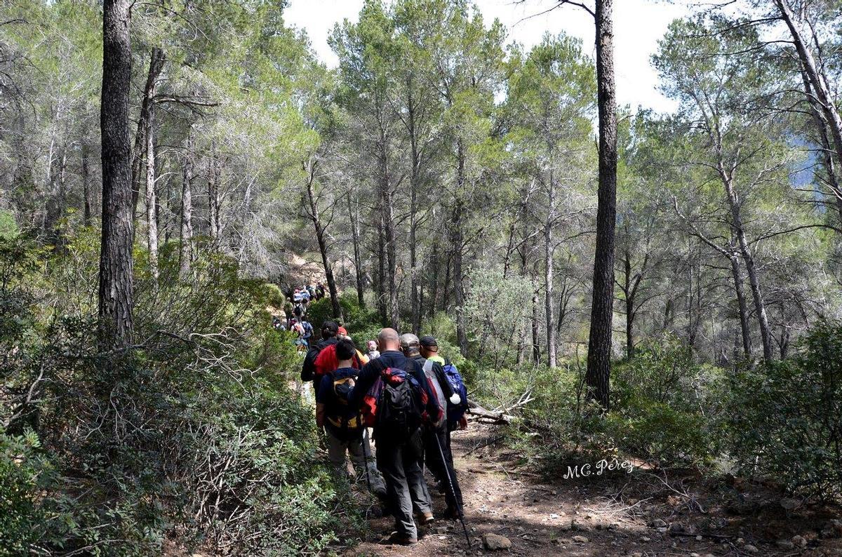 El domingo se esperá una mejora meteorológica y podría ser un gran día para ir de excursión.