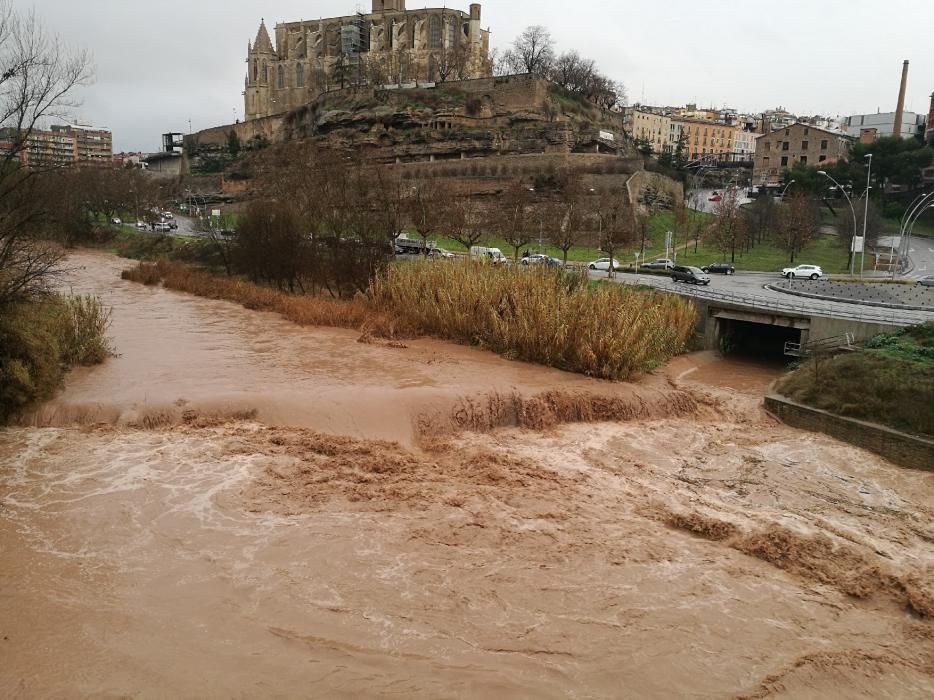 Llobregat i Cardener després del temporal