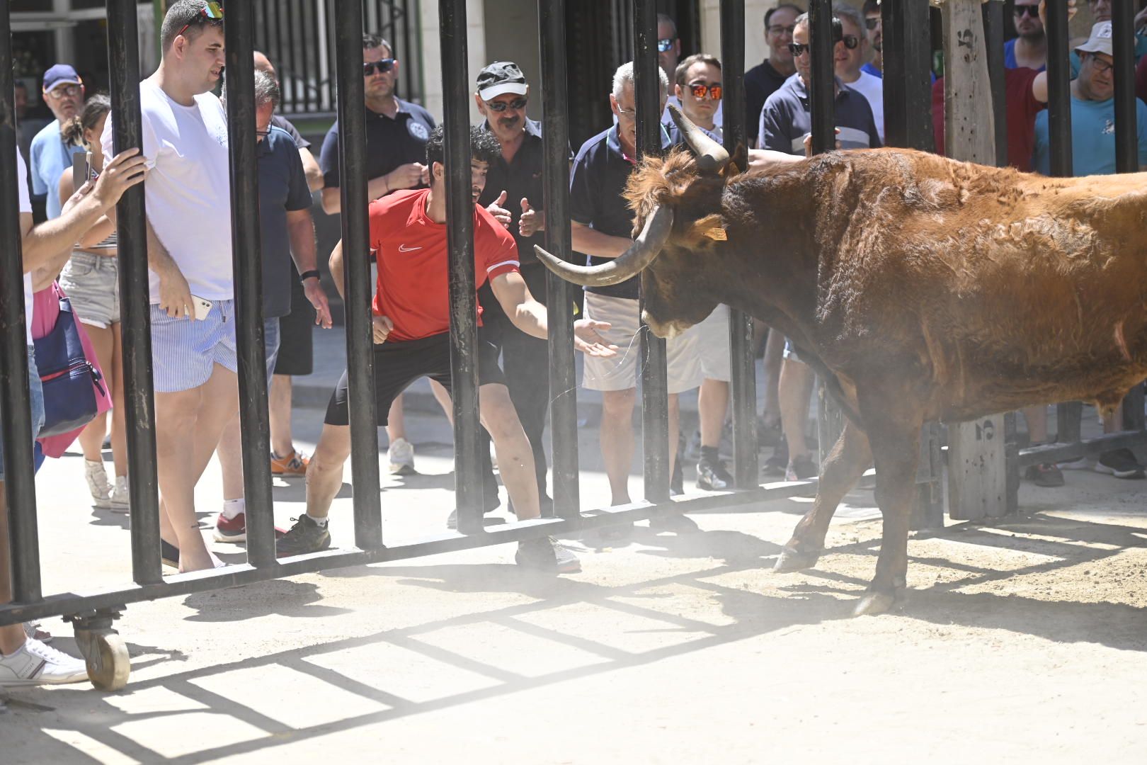 Martes de tradición, toros y fiesta en el Grau por Sant Pere