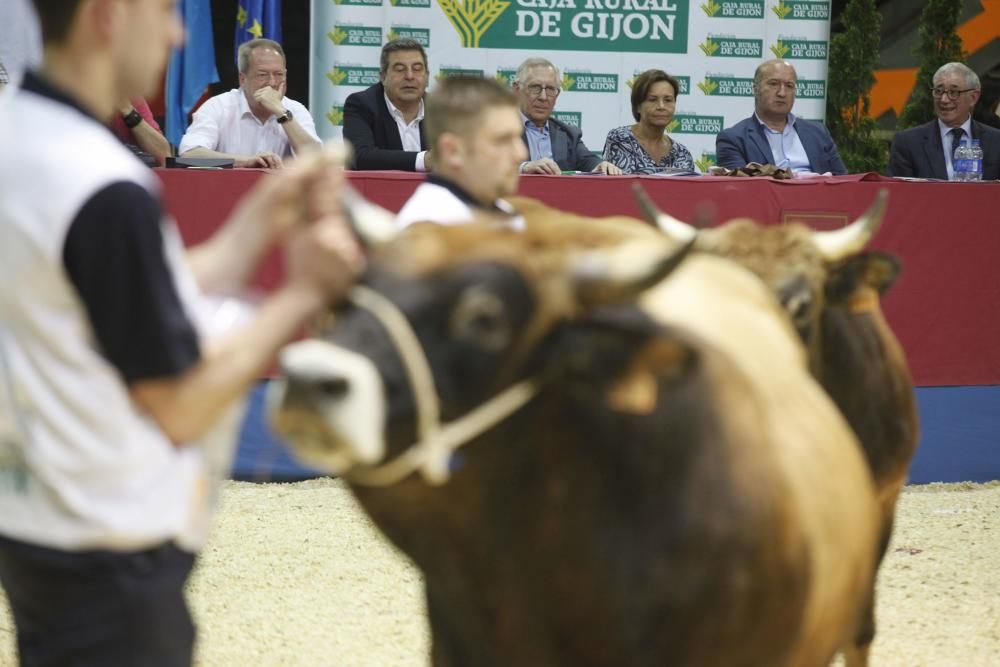 Feria ganadera de San Antonio