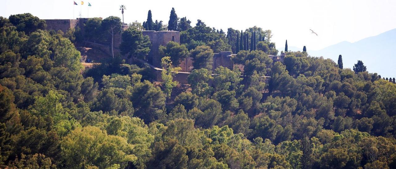 El Monte de Gibralfaro y su castillo desde la zona de Conde de Ureña.