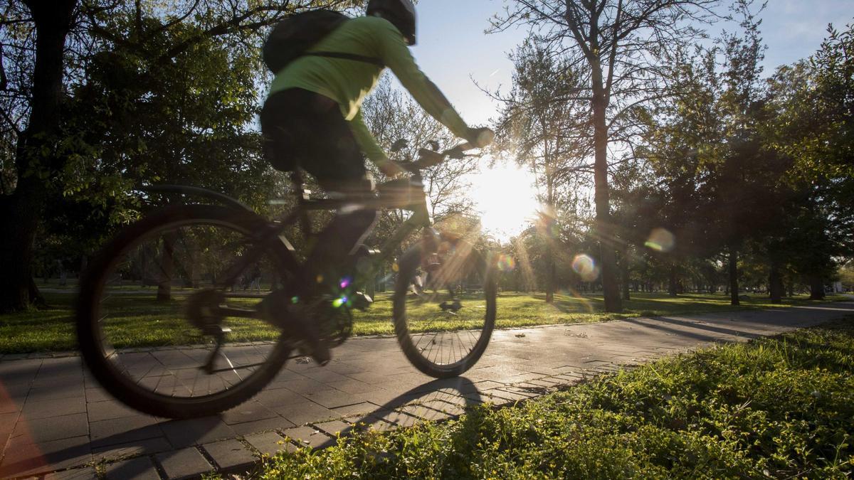 Una imagen de archivo de un ciclista circulando por el Jardín del Turia de València.