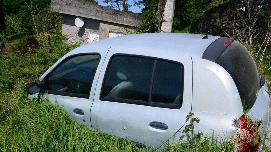 ¿Una nueva forma de camuflaje?