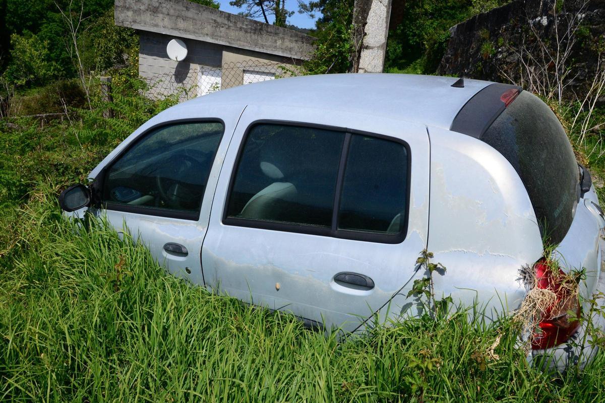 ¿Una nueva forma de camuflaje?