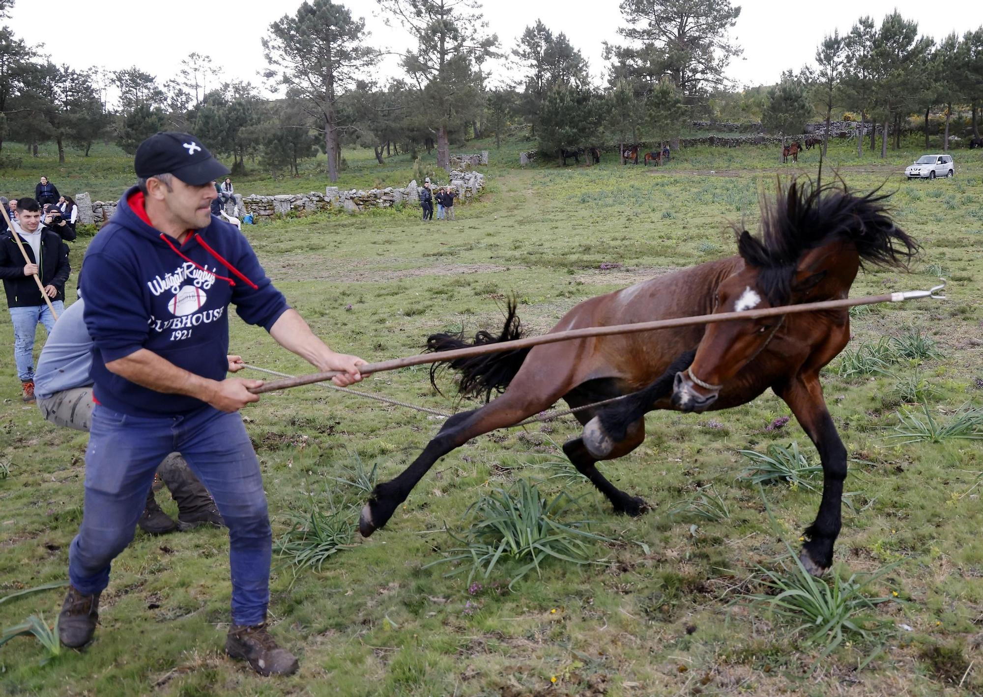 Valga inaugura la temporada de curros