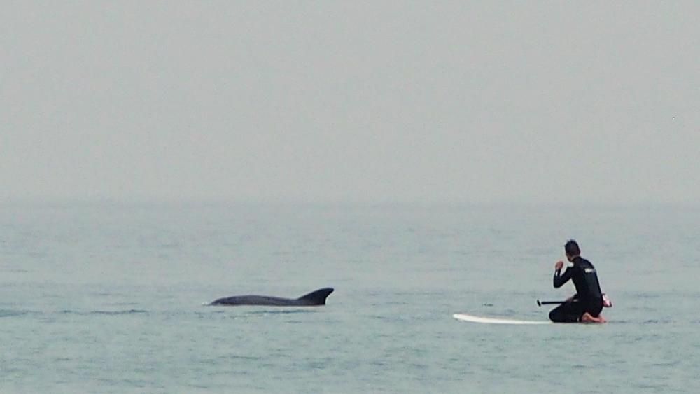 Alumnos de Los Pericones en San Lorenzo con los delfines