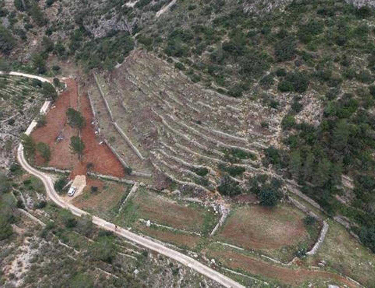 La ladera abancalada en la que se ha actuado para prevenir incendios