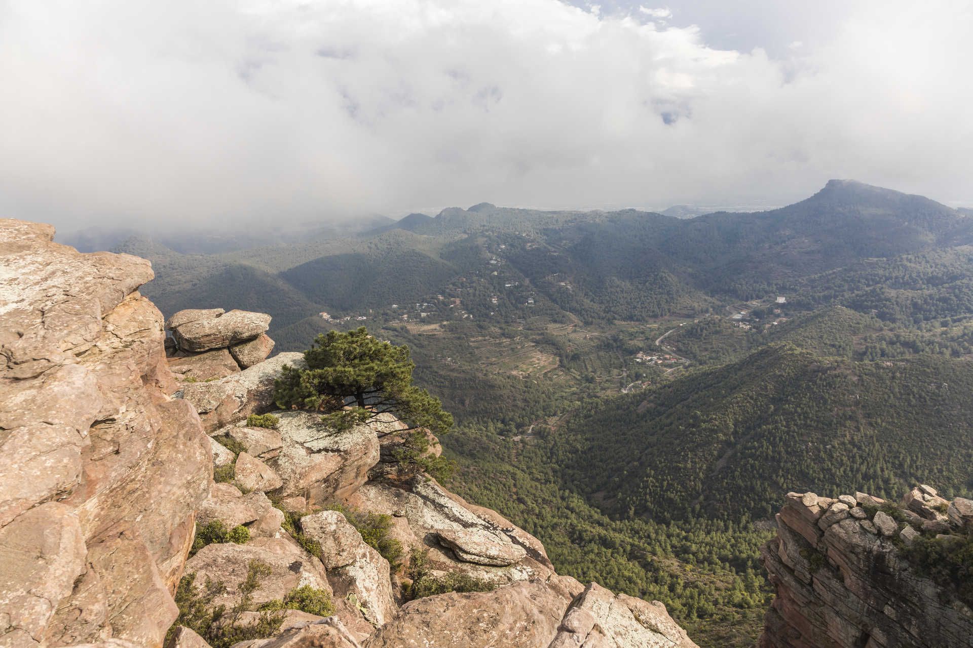 Parque natural de la Sierra Calderona