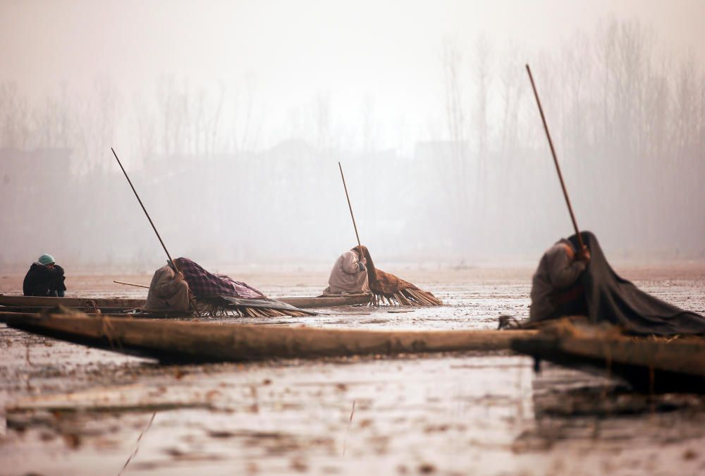 Varios pescadores de Cachemira pescan en las aguas del lago Anchar en Srinagar, India.