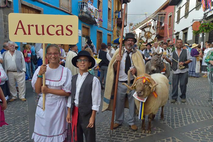 Carretas y grupos en la romería del Pino