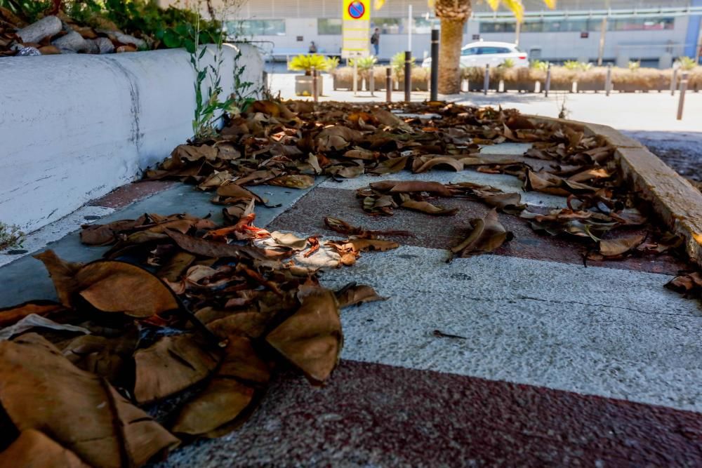 Acumulación de basura y falta de mantenimiento en el aeropuerto de Ibiza